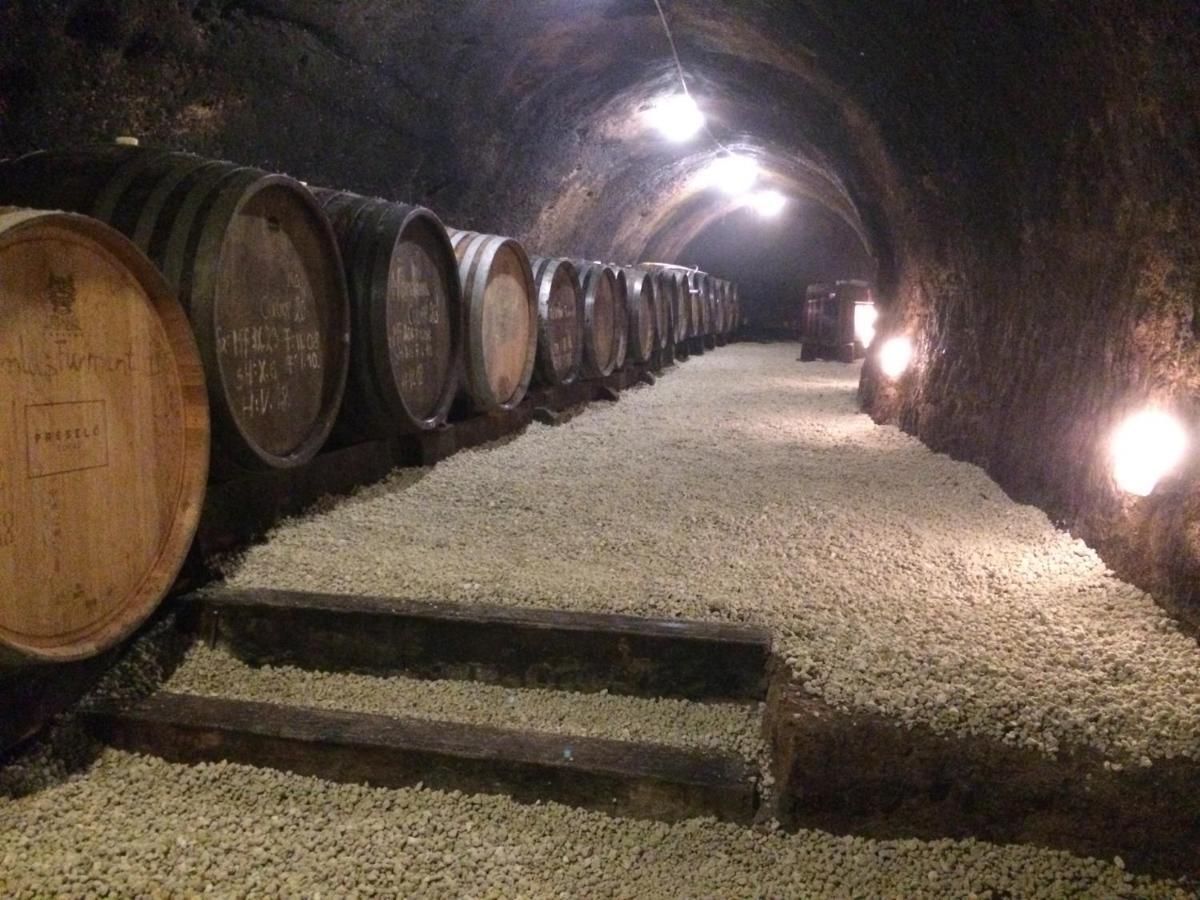 Préselő Pincészet és Vendégház Erdőbénye Exterior foto